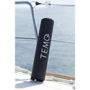 TEMO 450 Electric Motor